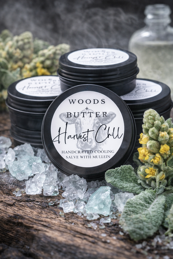 Harvest Chill (Mullein + Menthol Salve)