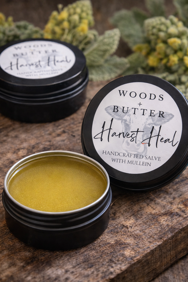 Harvest Heal (Mullein Salve)